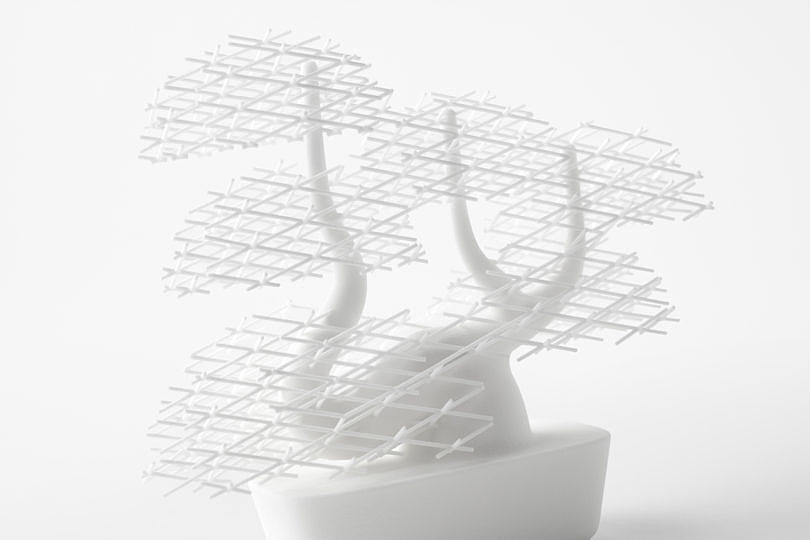 white，Interaction design，bonsai，