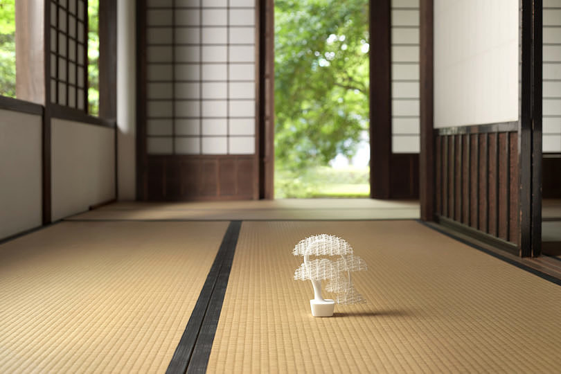 white，Interaction design，bonsai，