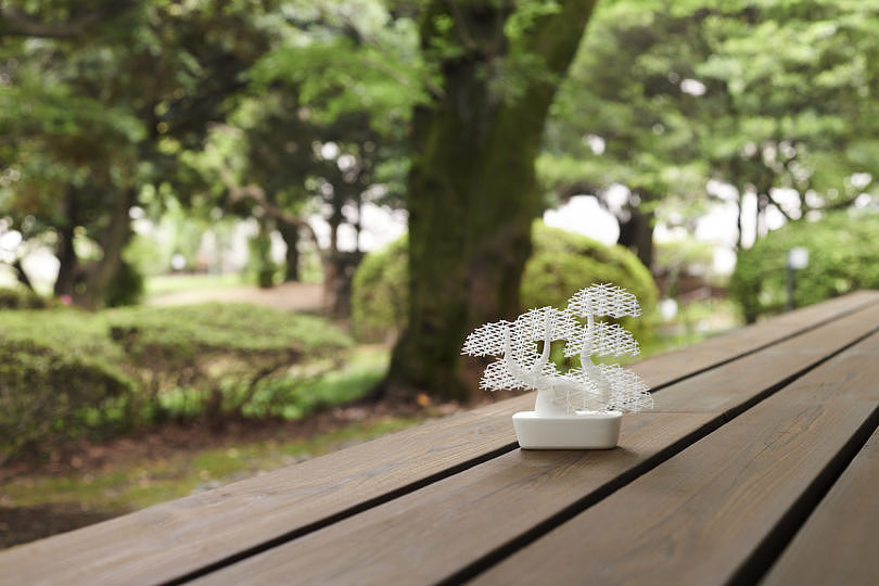white，Interaction design，bonsai，