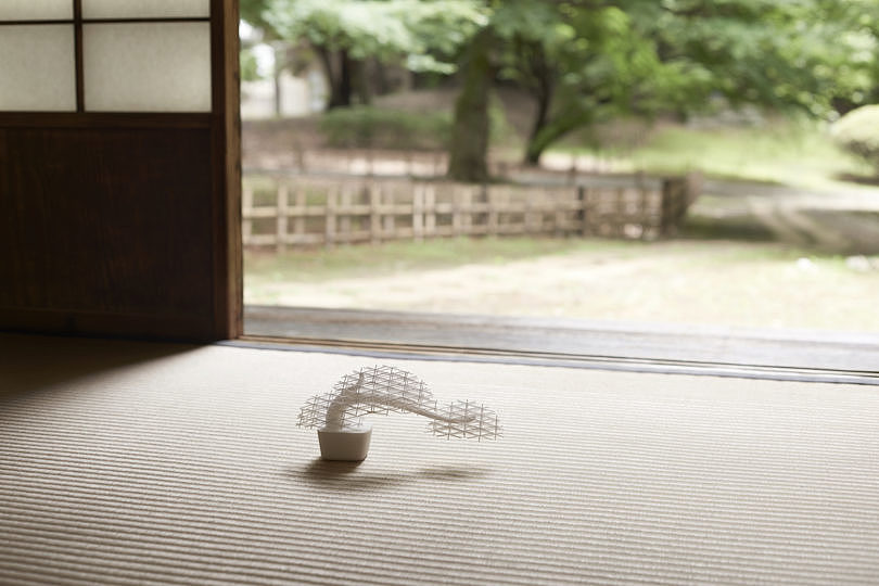 white，Interaction design，bonsai，