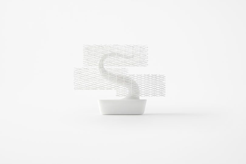 white，Interaction design，bonsai，