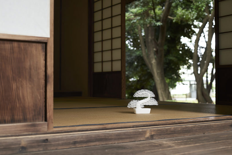 white，Interaction design，bonsai，