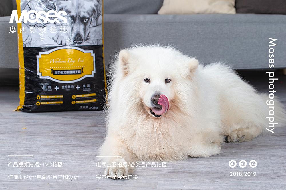 Product shooting，Cat food，Dog food，Pet Supplies & Pet，Main picture video，