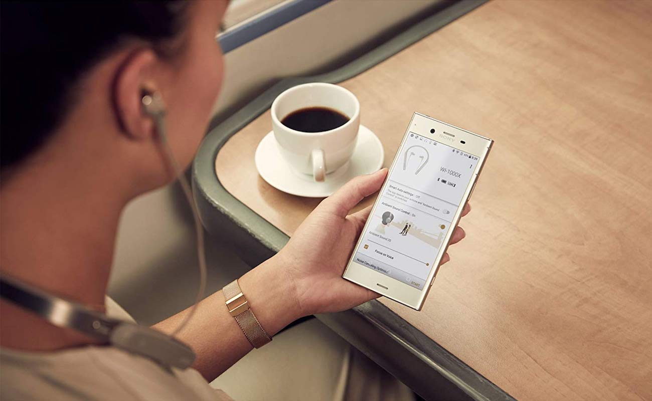 Sony WI1000X，Noise reduction earphone，black，