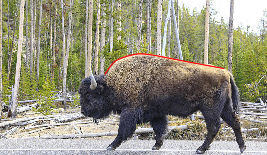 Strength, dumbbell piece, dumbbell，