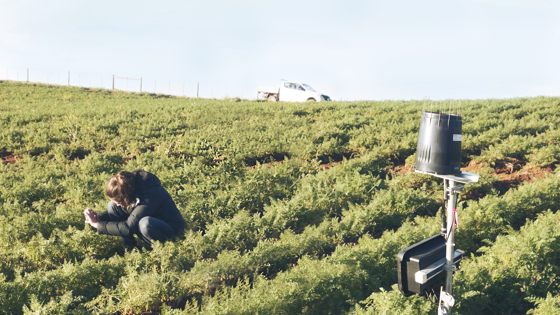 Agricultural science and technology，Prototype design and user testing，End to end implementation，User experience analysis，teams，Qisi，TEAMS Design，