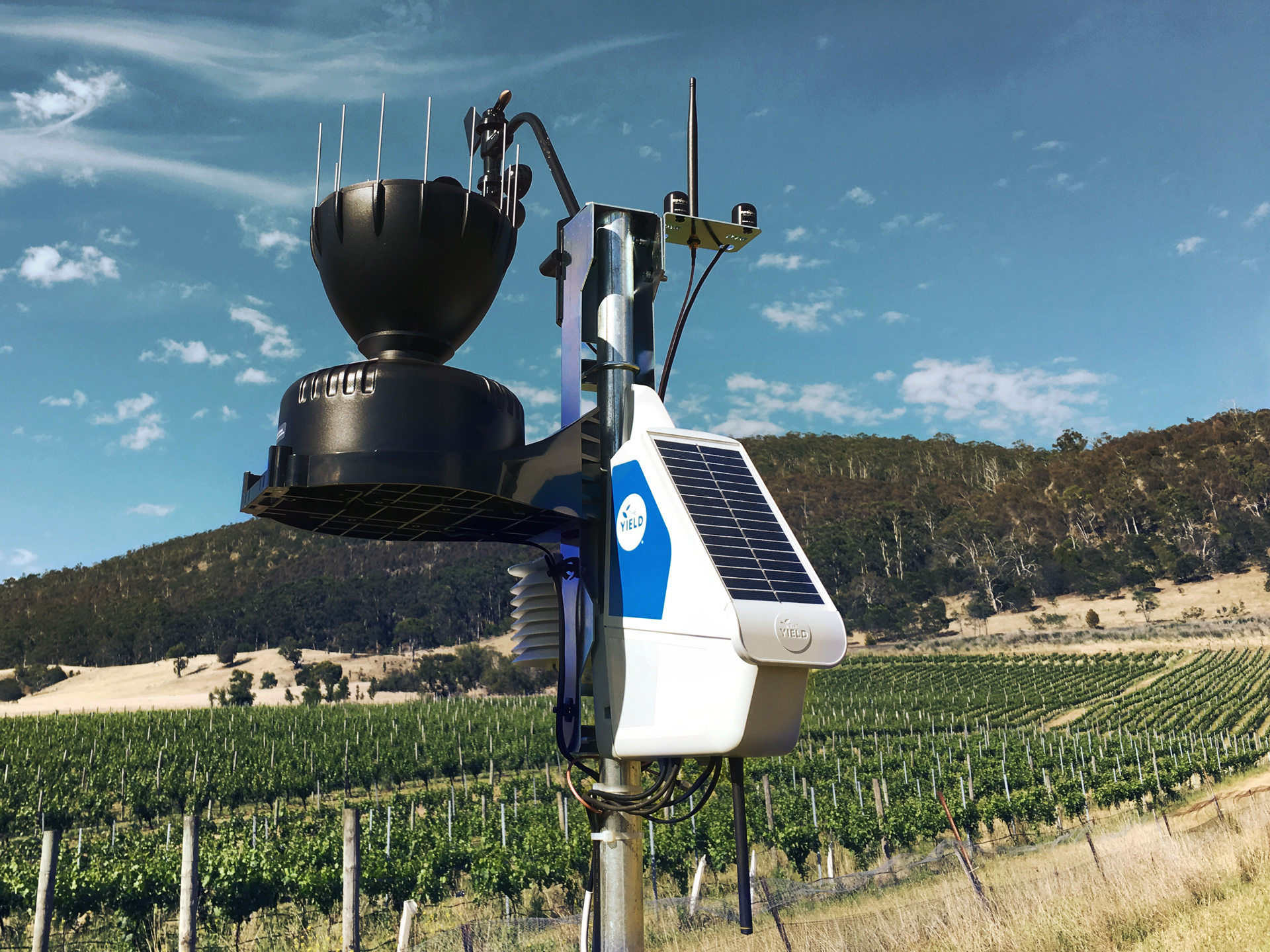 Agricultural science and technology，Prototype design and user testing，End to end implementation，User experience analysis，teams，Qisi，TEAMS Design，