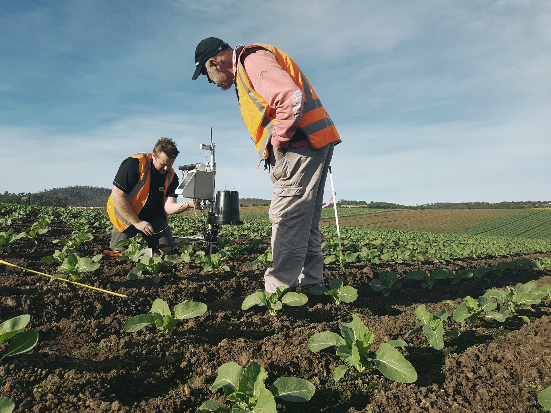 Agricultural science and technology，Prototype design and user testing，End to end implementation，User experience analysis，teams，Qisi，TEAMS Design，