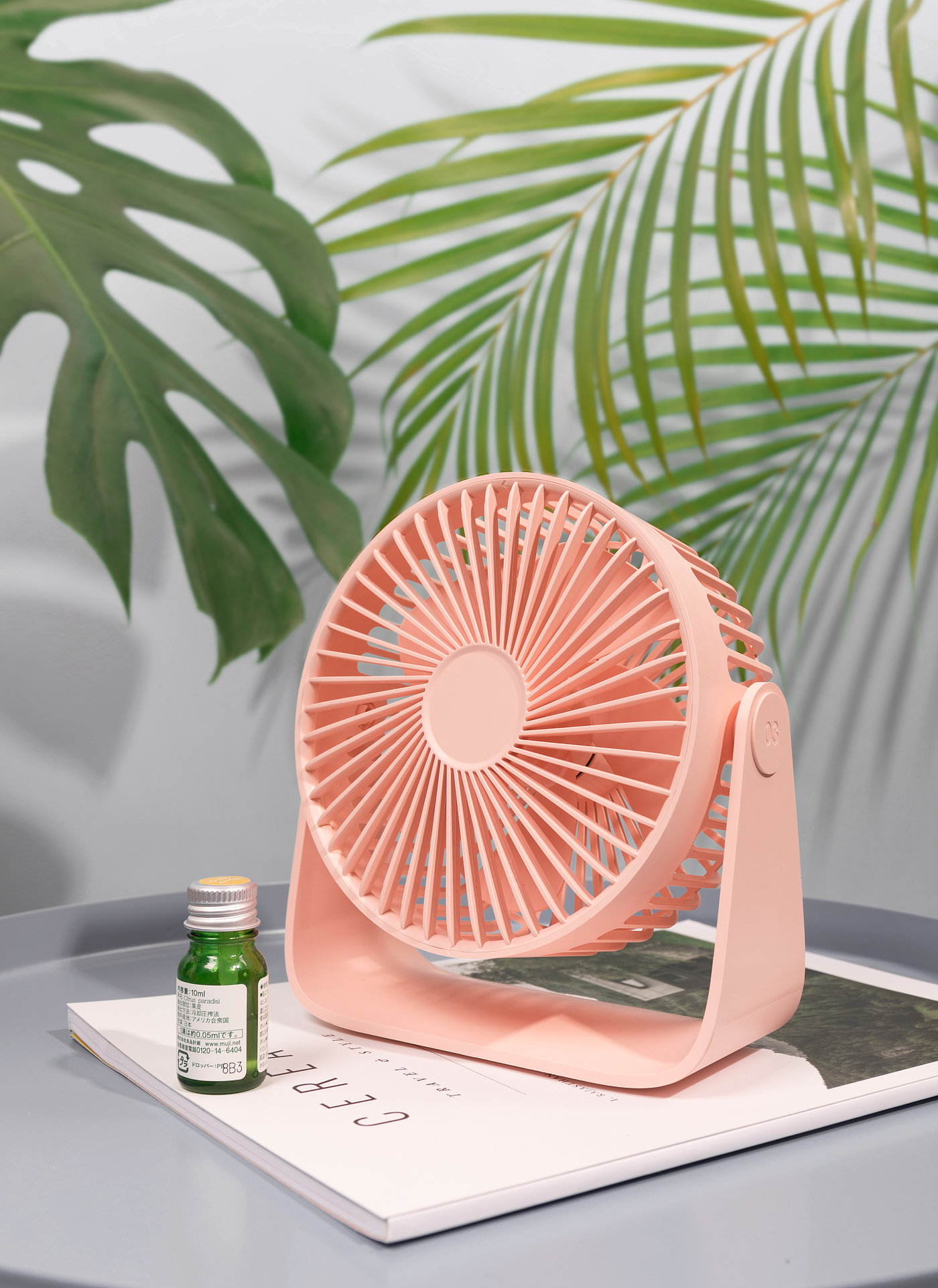 Fan，