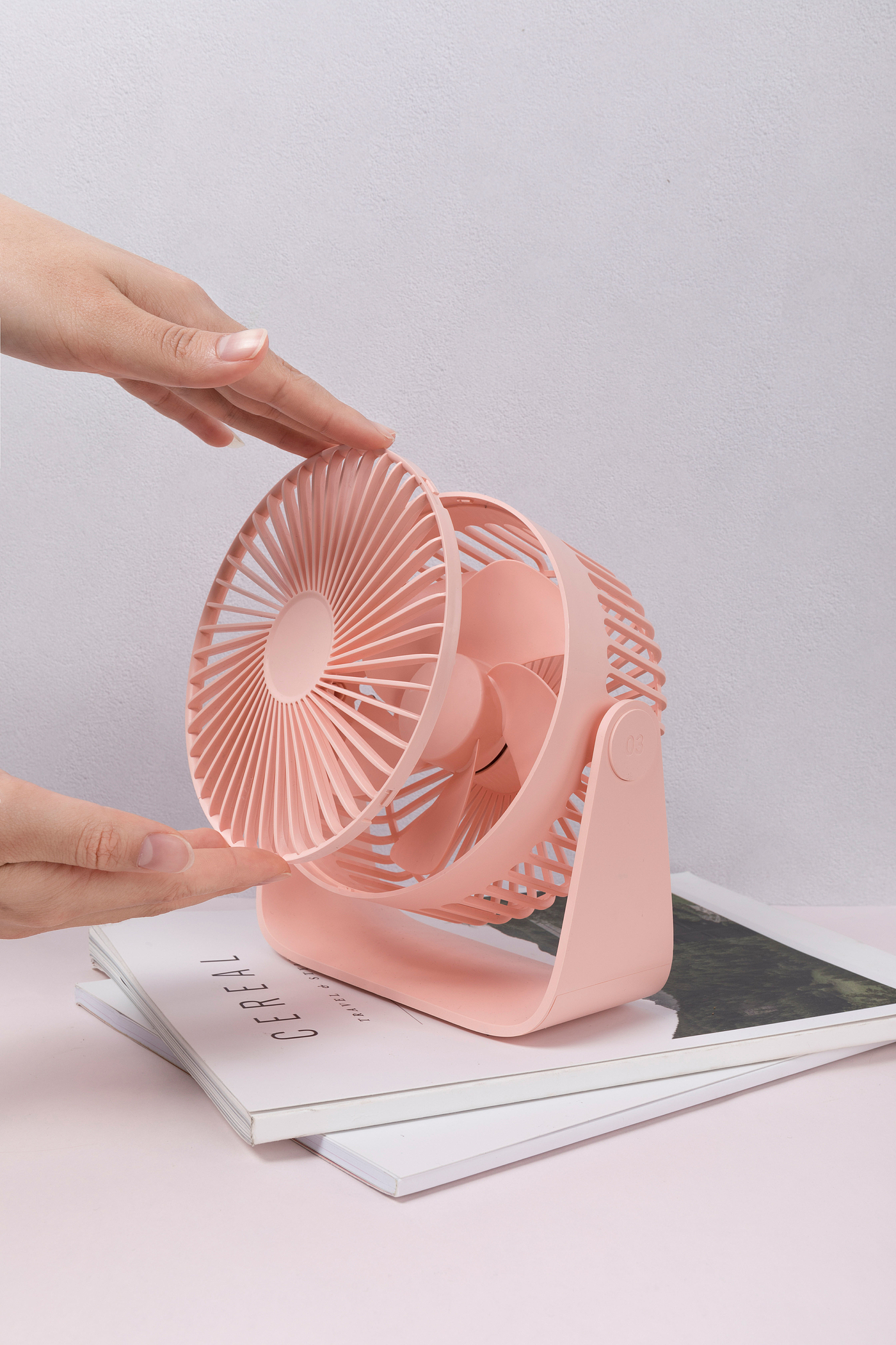 Fan，