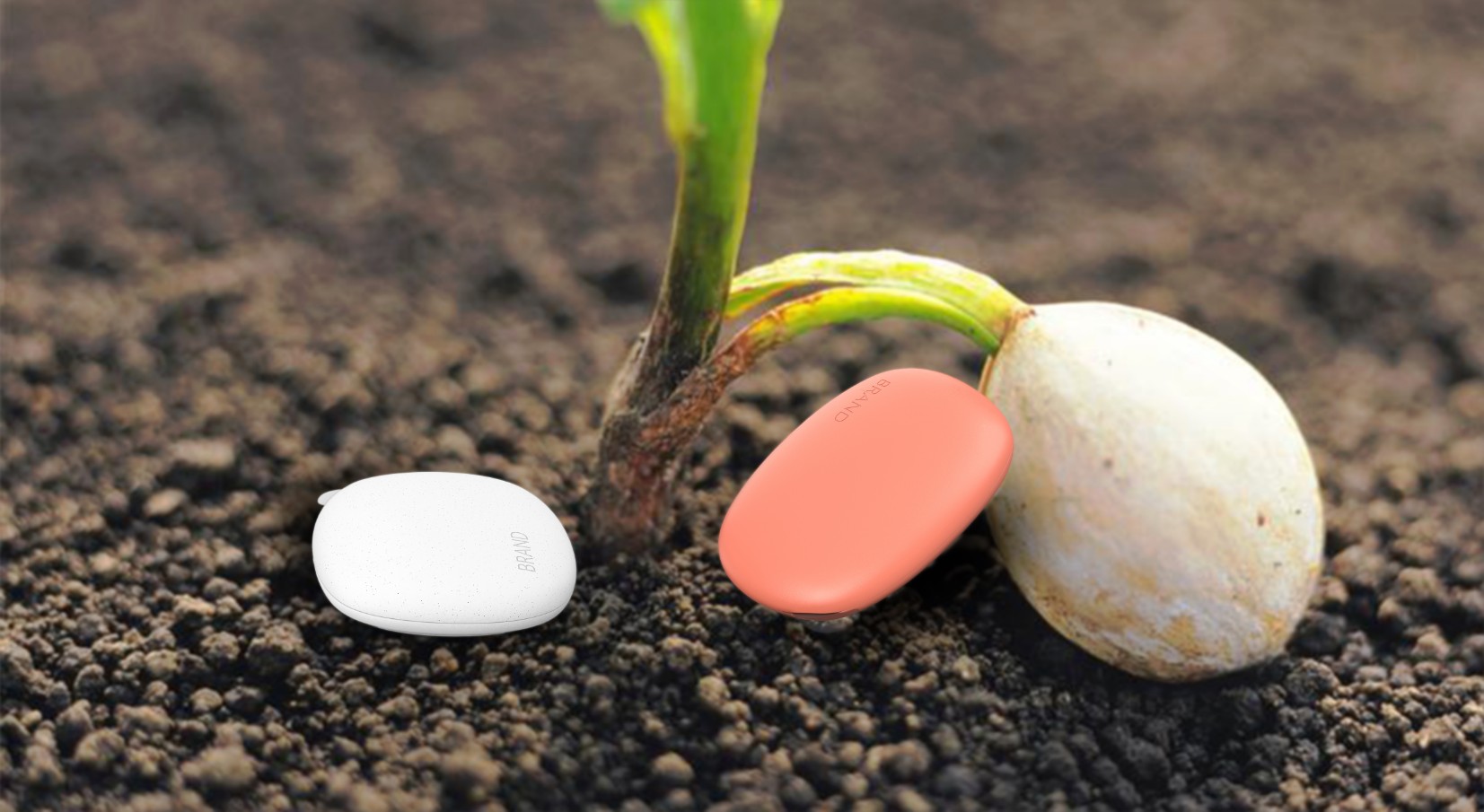 Are you willing to plant the seeds of your dreams under your pillow，Magnetic suction，