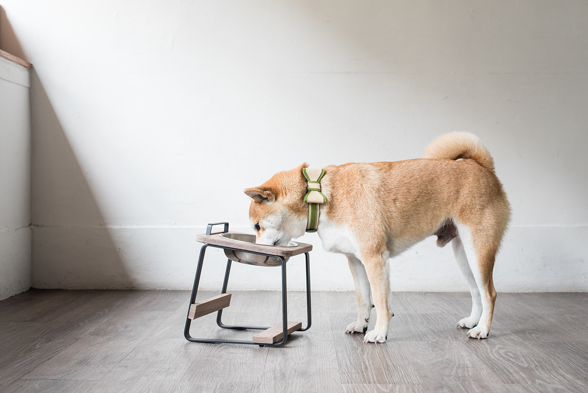 wooden ，Handmade leather collar，Rack，Pets，