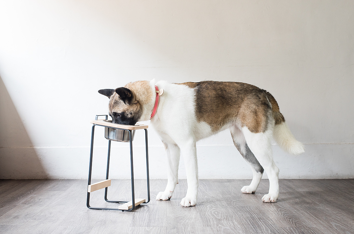 wooden ，Handmade leather collar，Rack，Pets，