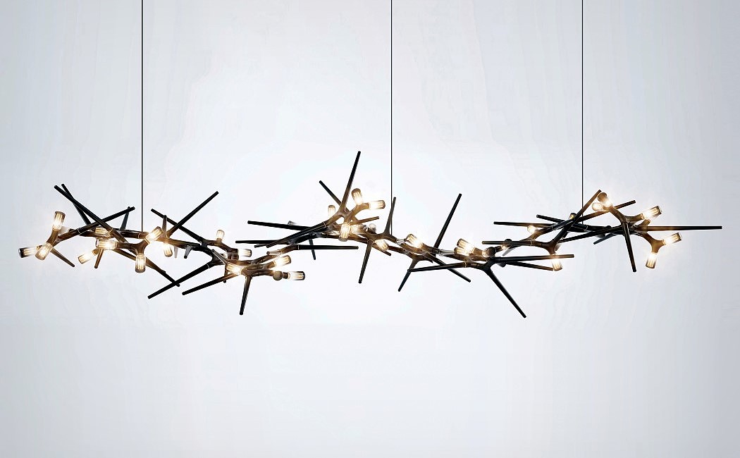 branch，THORN，a chandelier，