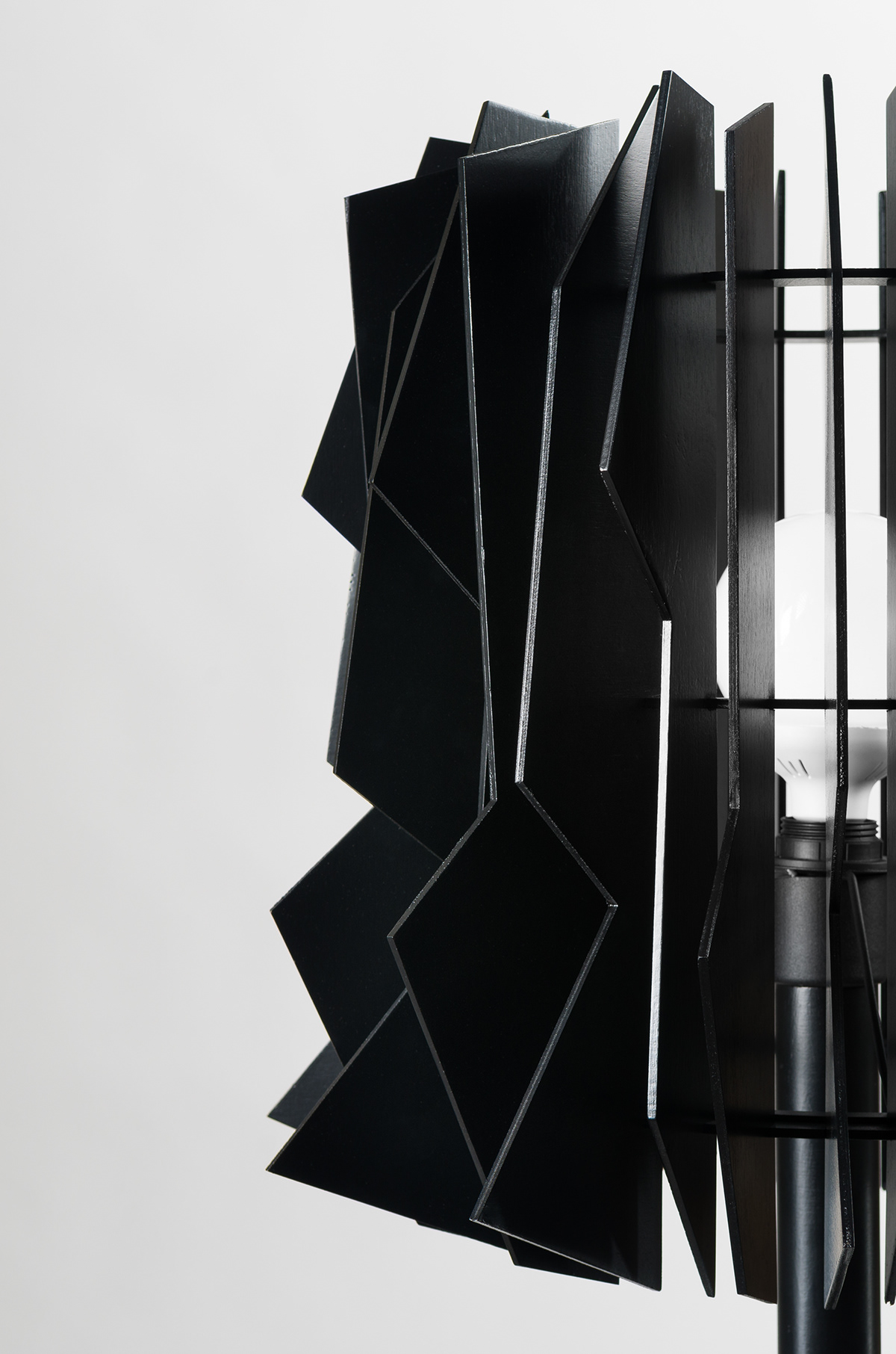 Scandinavia. kgm，a chandelier，Floor lamp，Irregular，