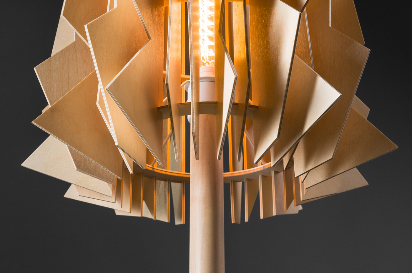 Scandinavia. kgm，a chandelier，Floor lamp，Irregular，