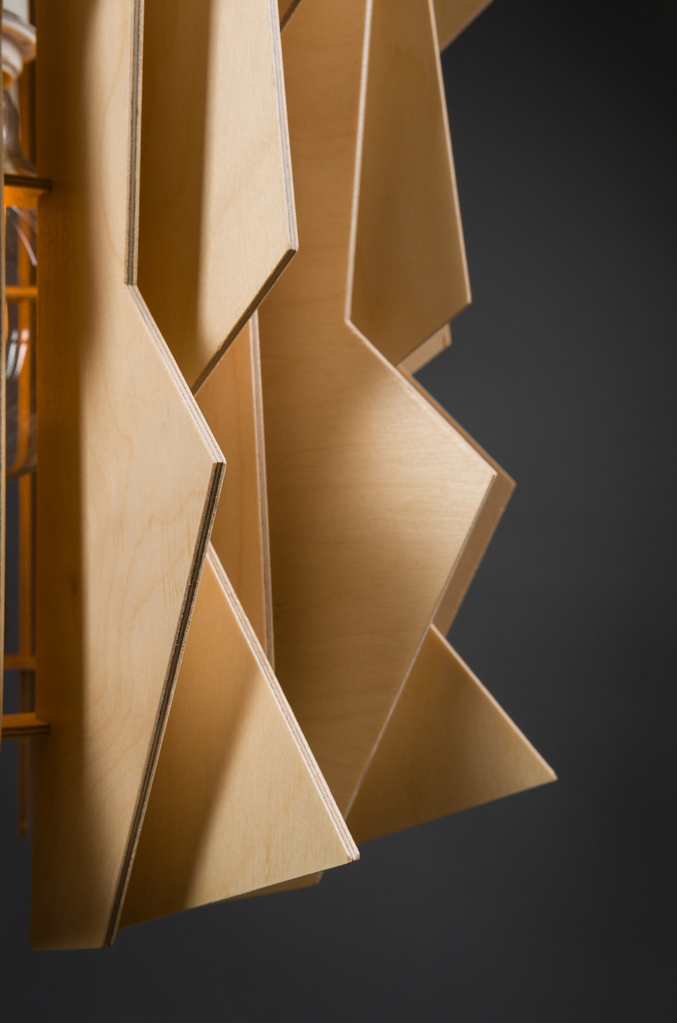 Scandinavia. kgm，a chandelier，Floor lamp，Irregular，