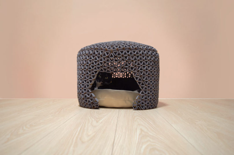 Peek A Boo，weave，rest，play，Kitty，