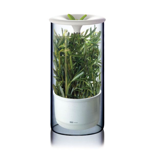 Kitchenware，Interesting design，