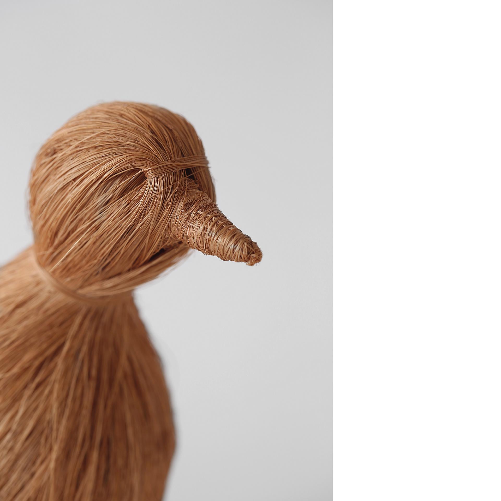 Design，originality，Henequen fiber，Toh，