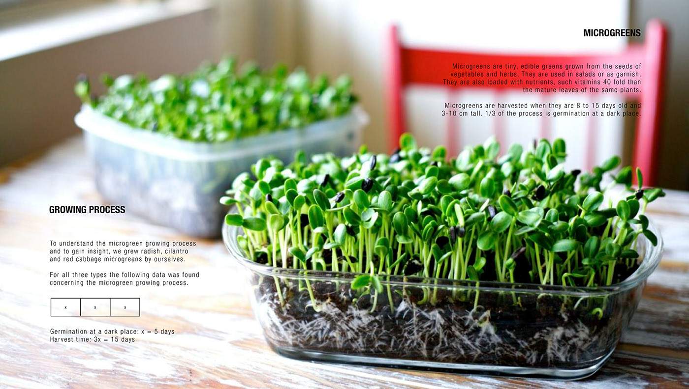 if，Kitchen electricity，Kitchen appliances，Vegetable planting，