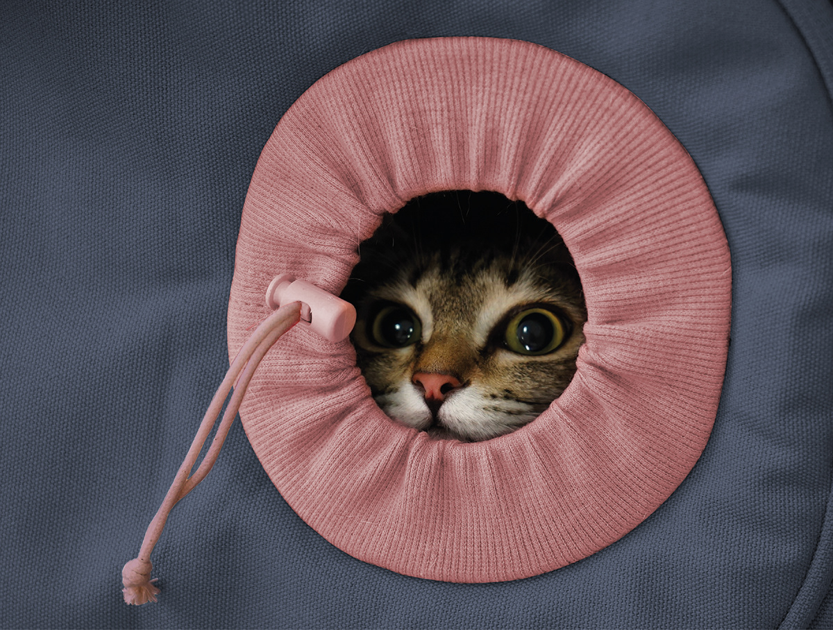 Pet Supplies & Pet，Cat nest，Pet bag，