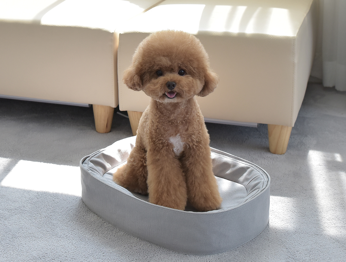 Pet Supplies & Pet，Cat nest，Pet bag，