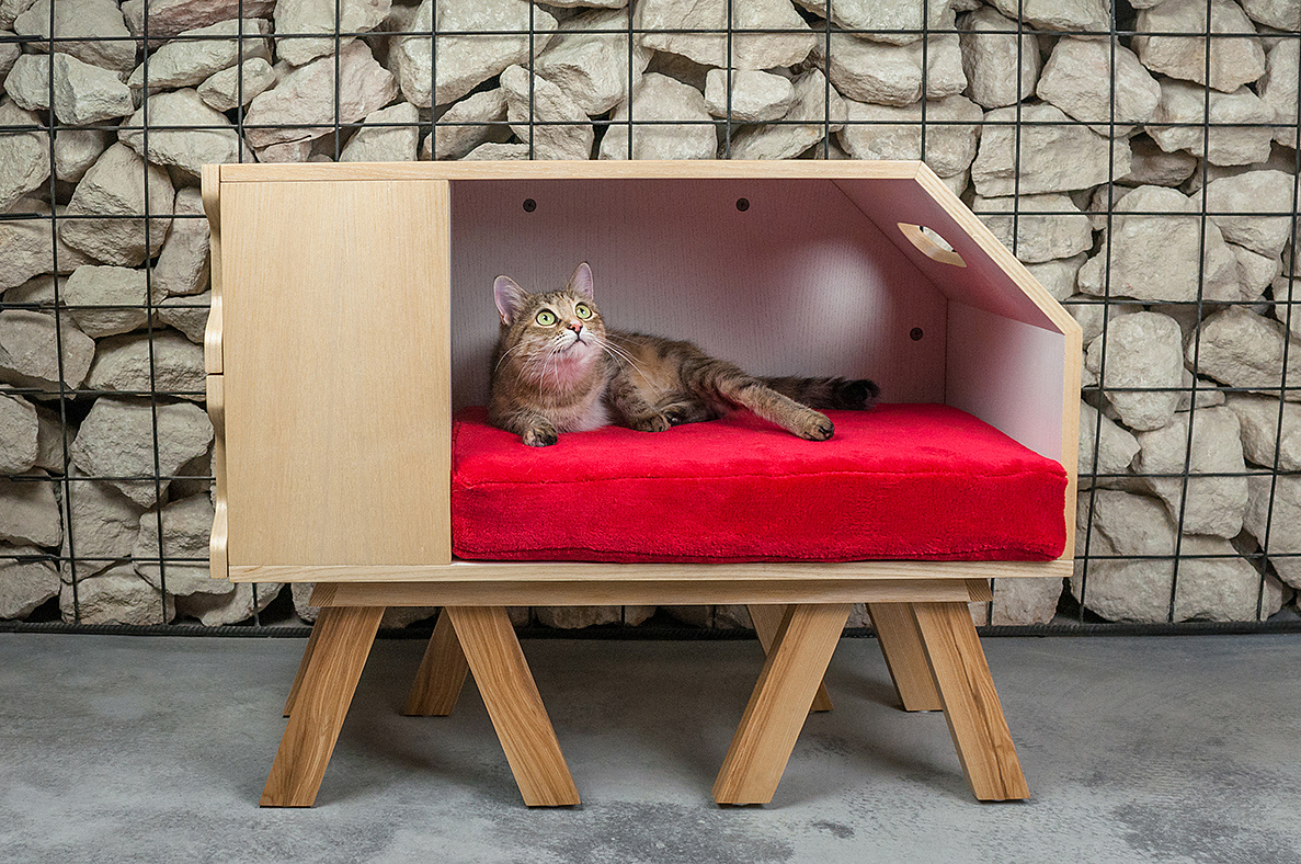 industrial design，Pets，originality，woodiness，