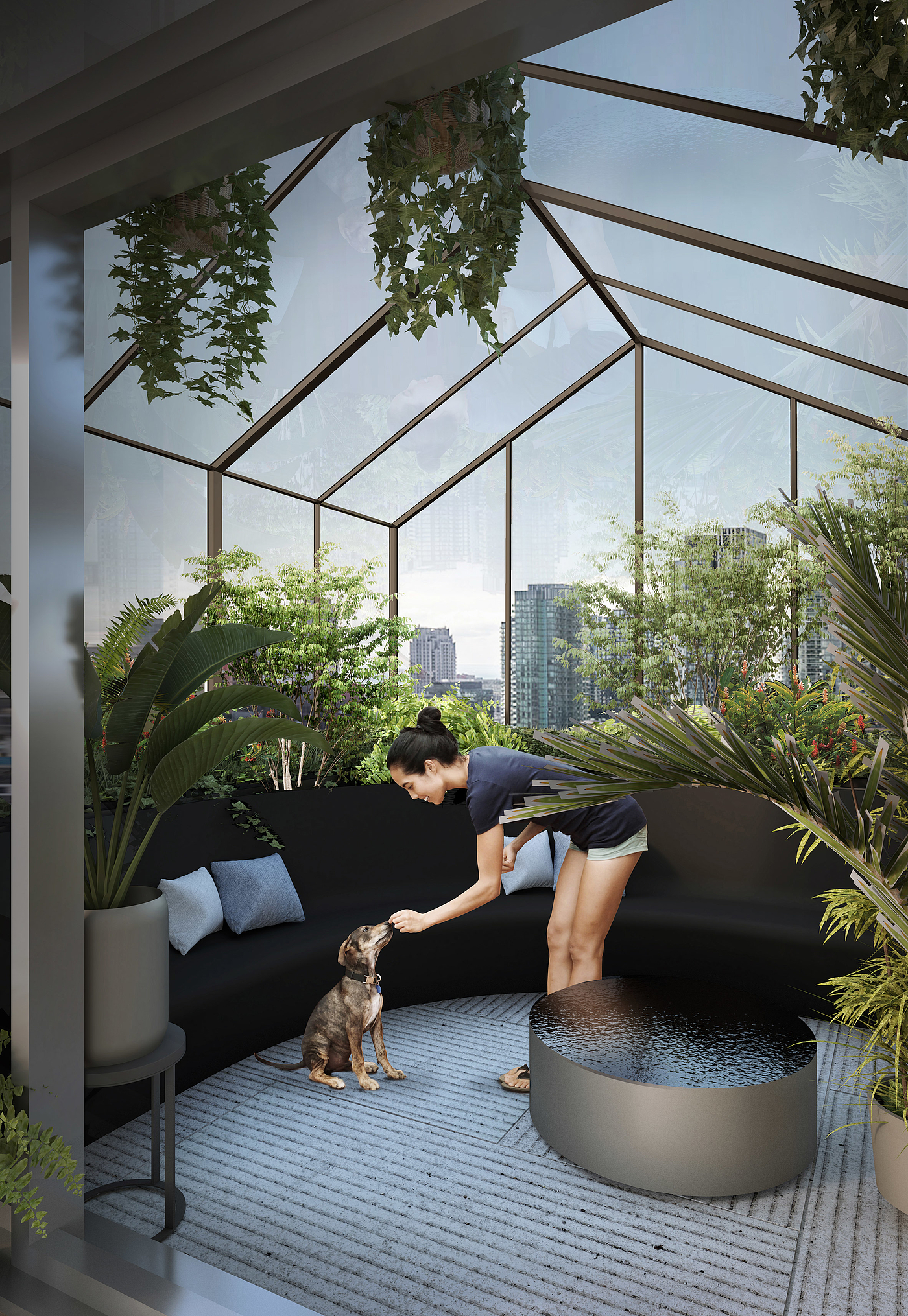 公寓设计，顶层，加拿大，植物，玻璃砖，