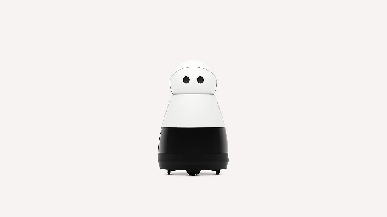 Family partner，lovely，Household robot，