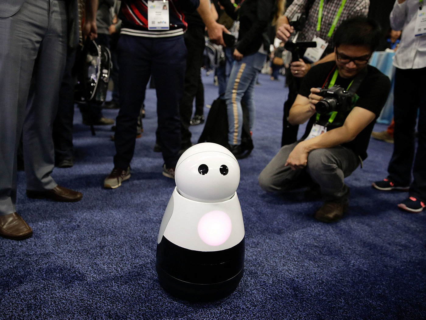 Family partner，lovely，Household robot，