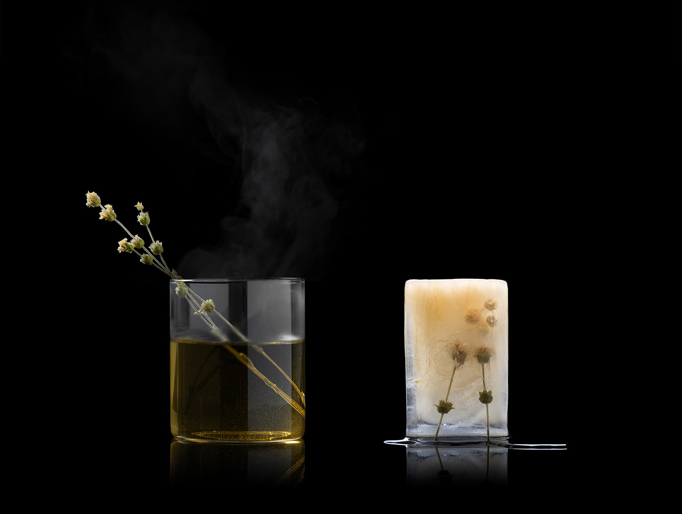 Simple packaging，Visual design，packing，container，Botany，