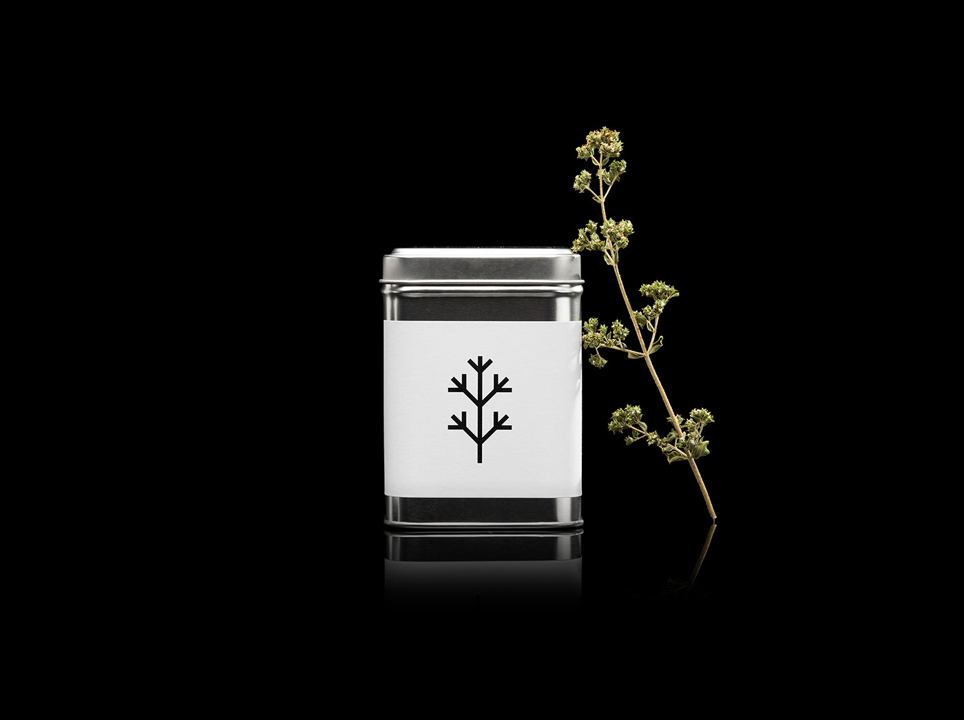 Simple packaging，Visual design，packing，container，Botany，