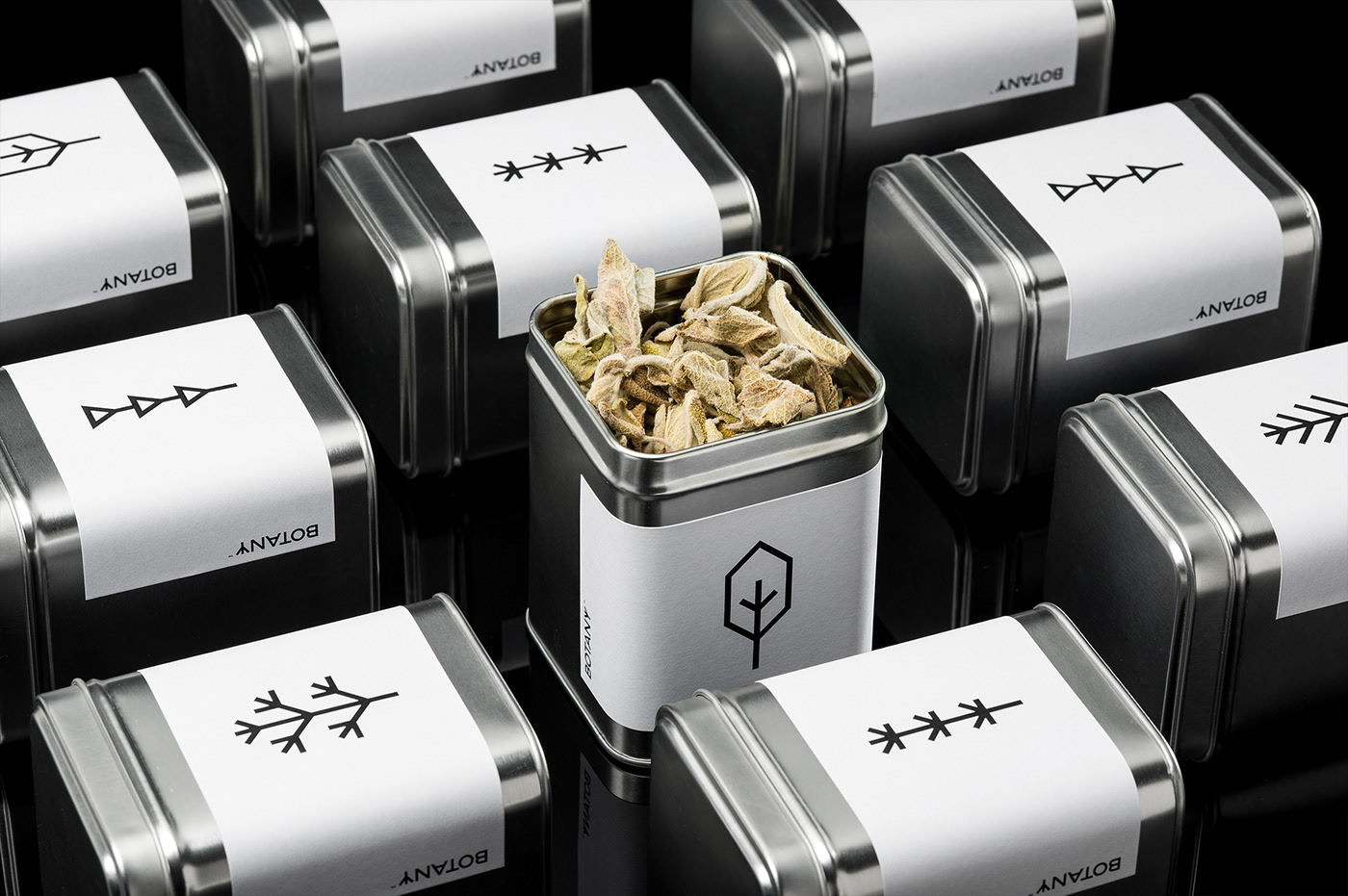 Simple packaging，Visual design，packing，container，Botany，