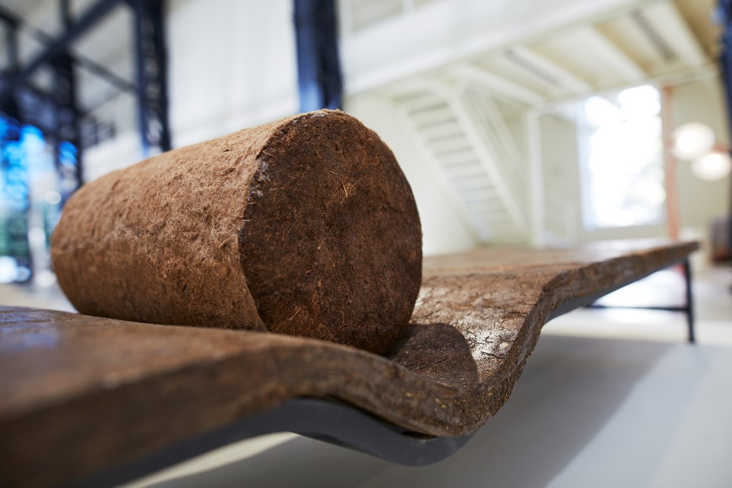 Sustainability，Material Science，Amman design week，possibility，