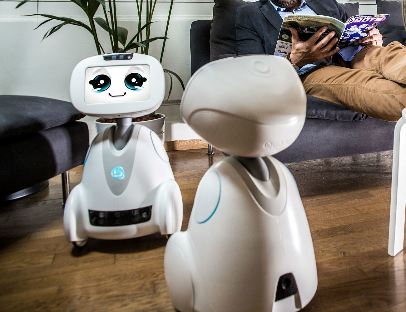 education，entertainment，monitor，video，robot，