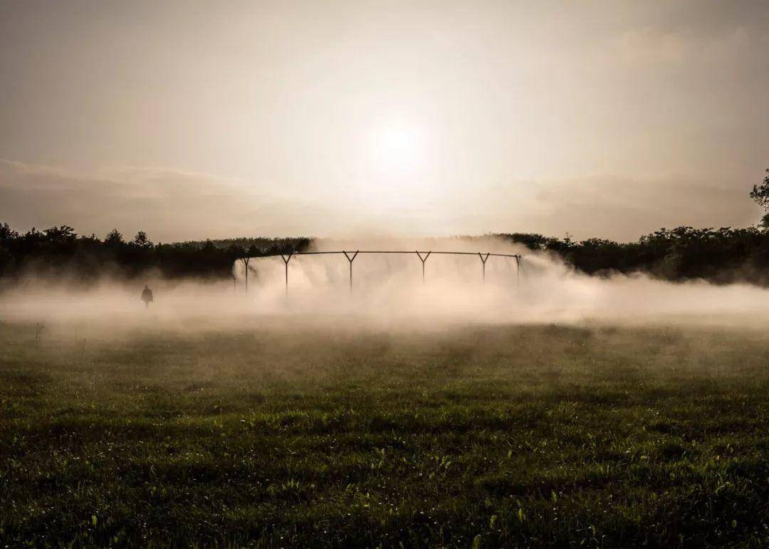 Ice clock，Solar lamp，Olafur Eliasson，yellow，Geometry，