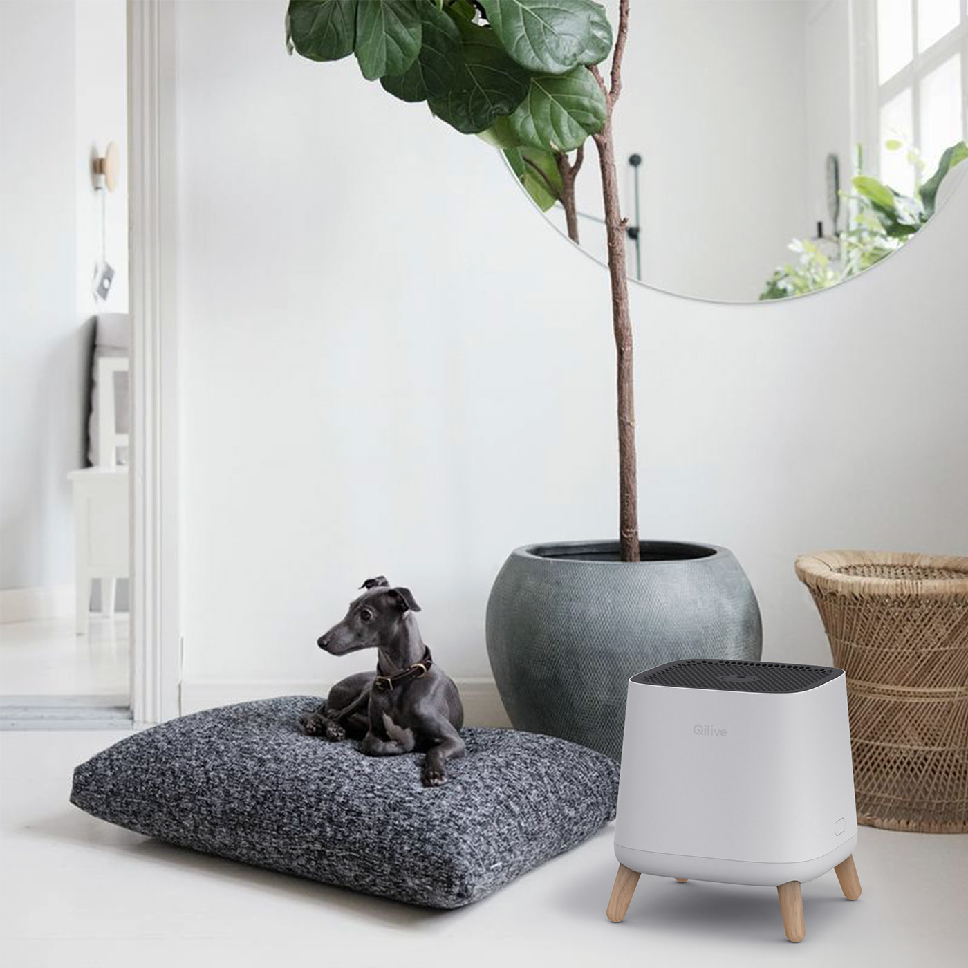 intelligence，Good mute，High cost performance，air cleaner，