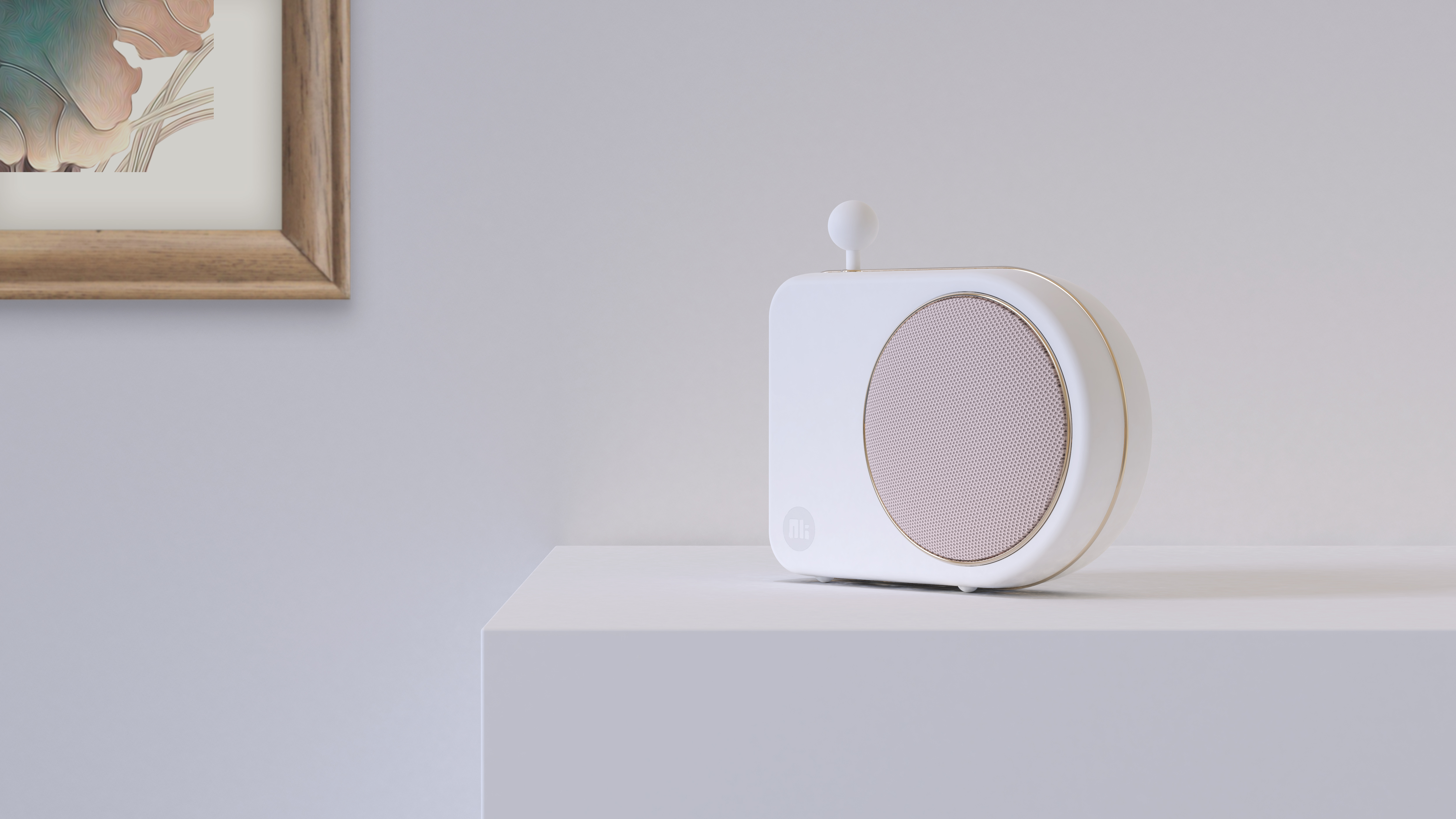 Bluetooth Speaker ，