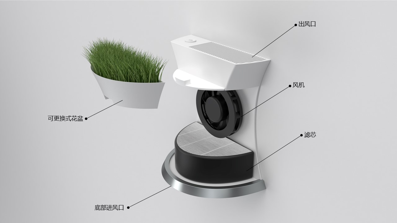 Botany，Air purification，Deodorizer，Fresh air，