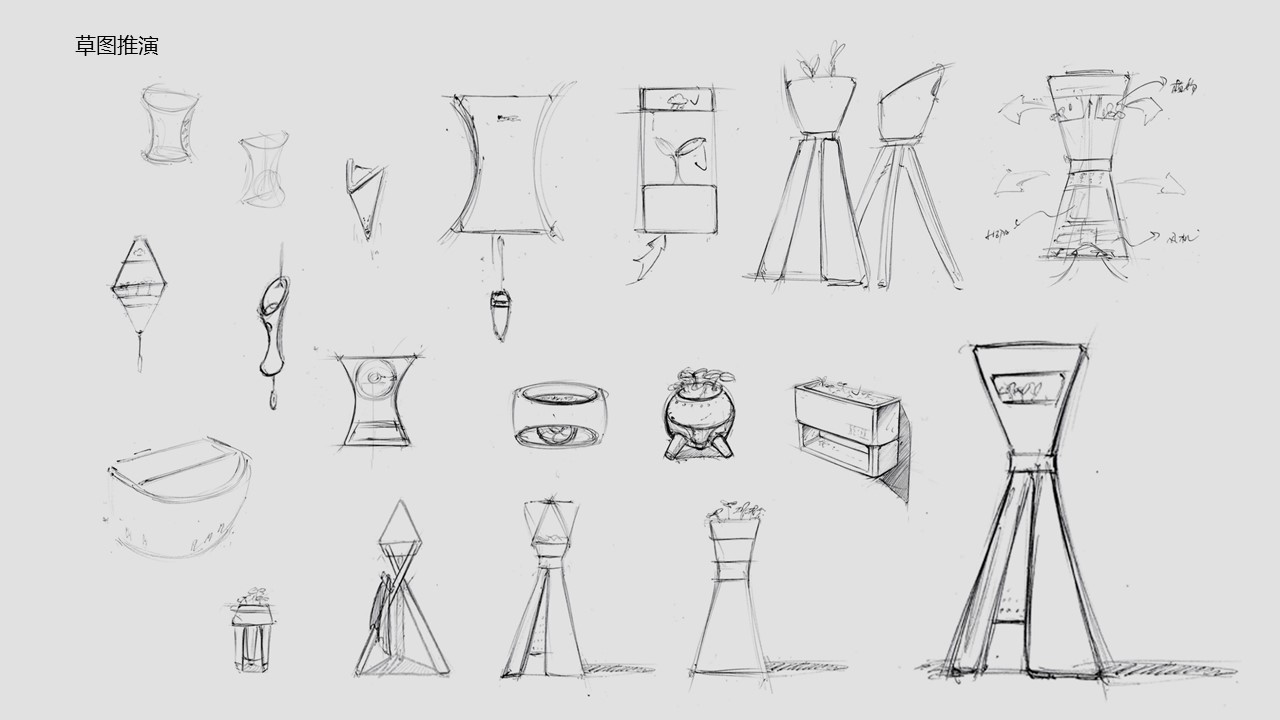 Botany，Air purification，Deodorizer，Fresh air，