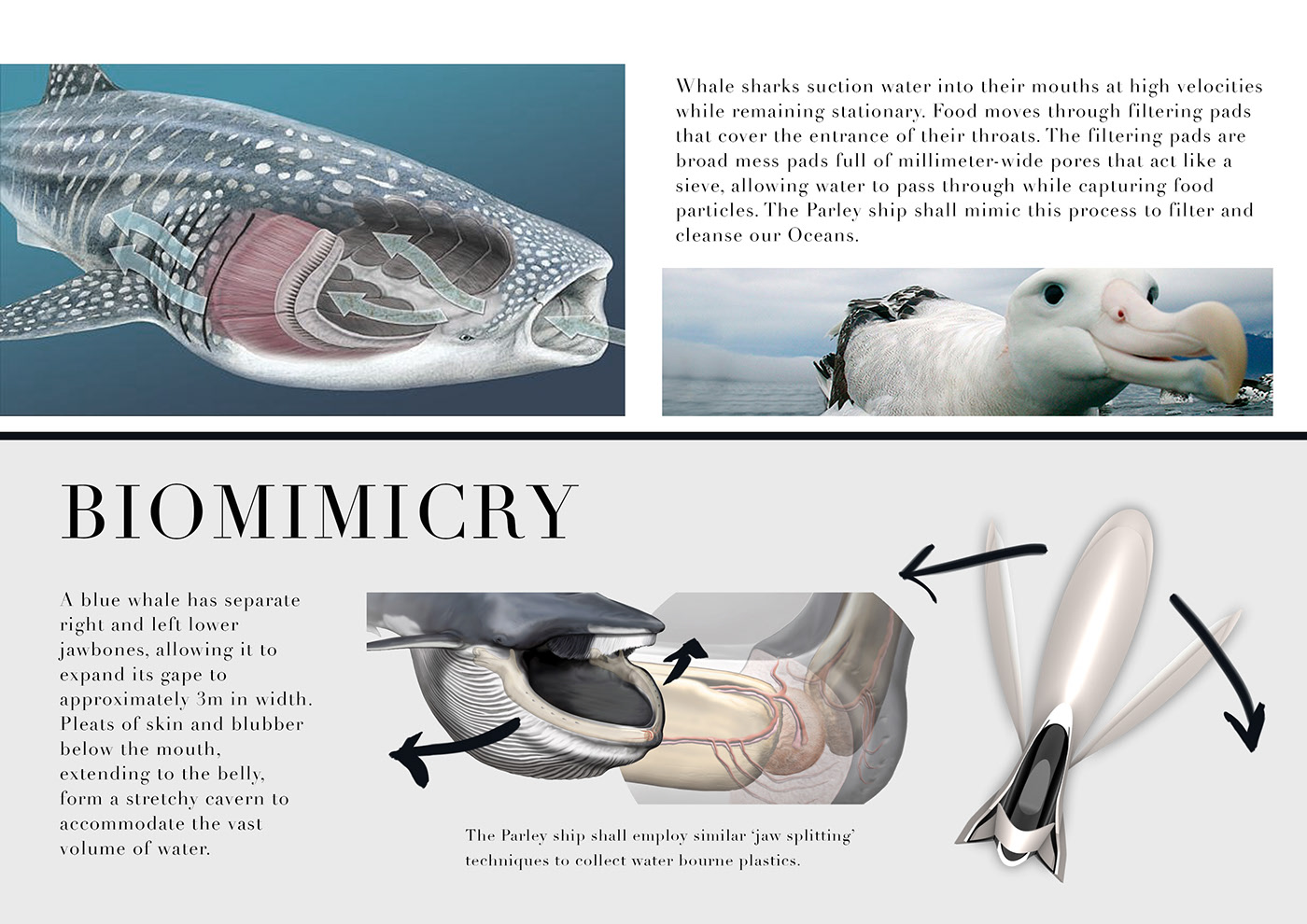 Ship design，industrial design，Bionic technology，