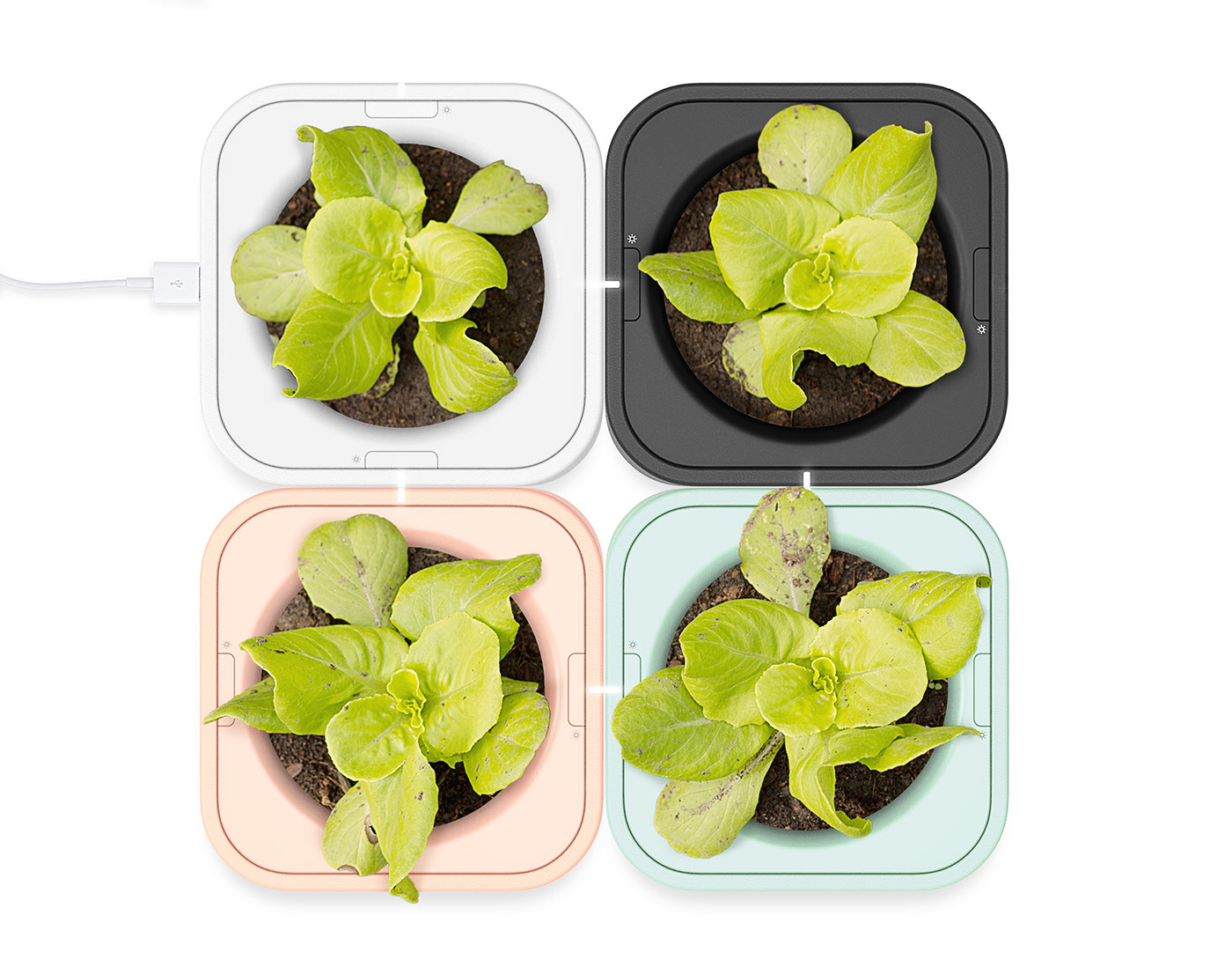 new type，originality，Design，intelligence，