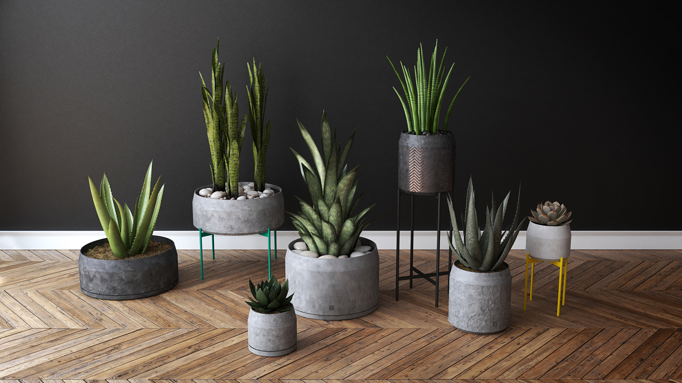 Flowerpot，concrete，Industrial wind，