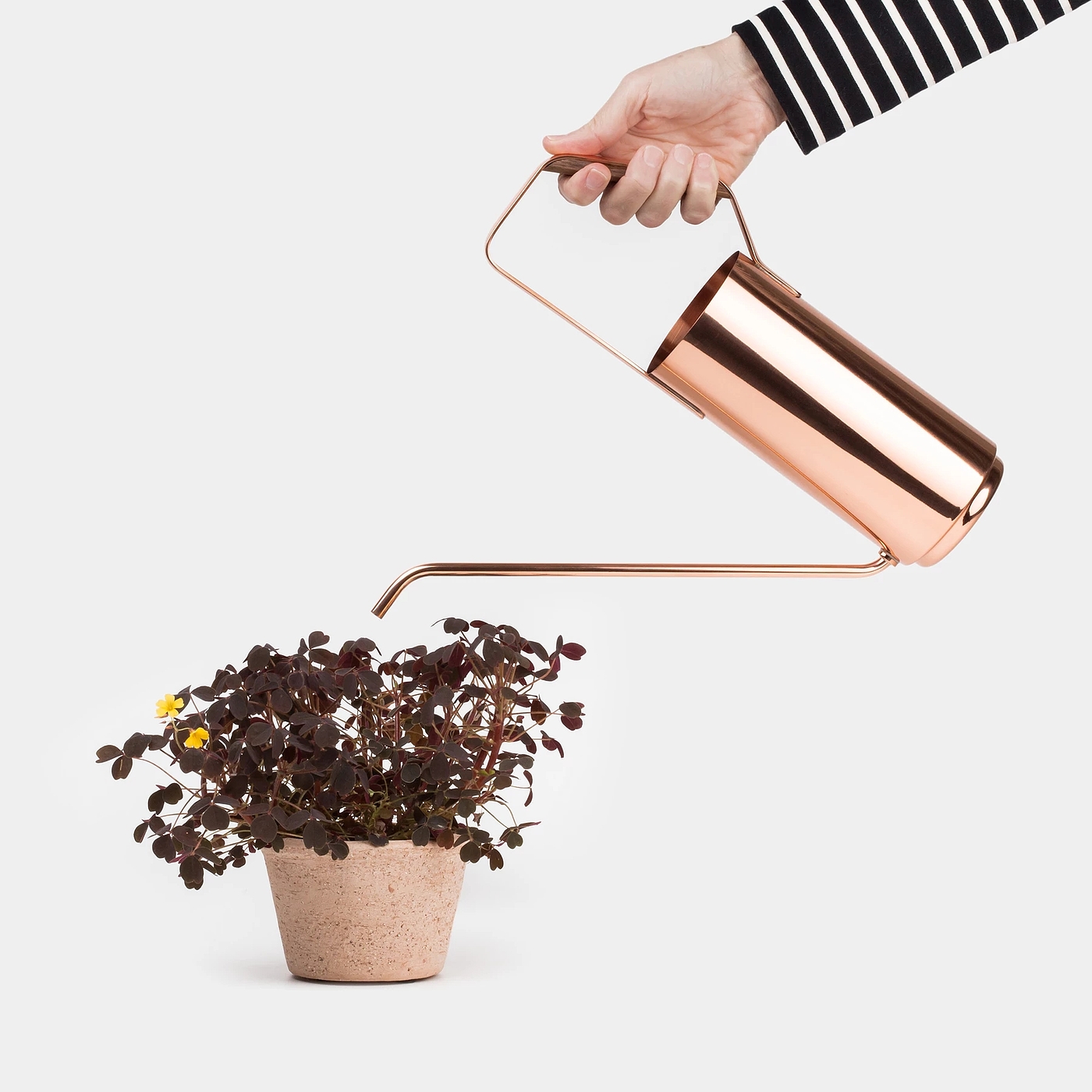 Kaenjusai，kettle，copper，Gardening tools，