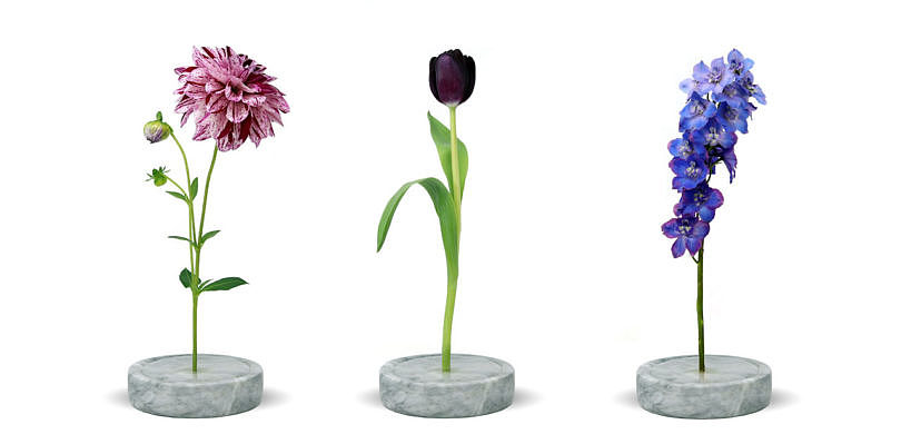 industrial design，vase，Solo vase，Single stem vase，