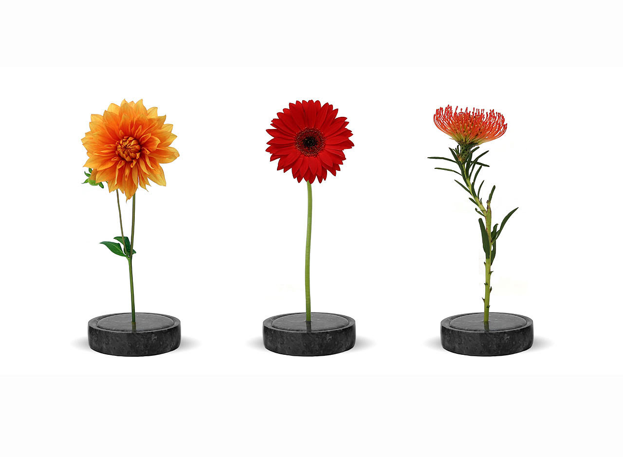 industrial design，vase，Solo vase，Single stem vase，