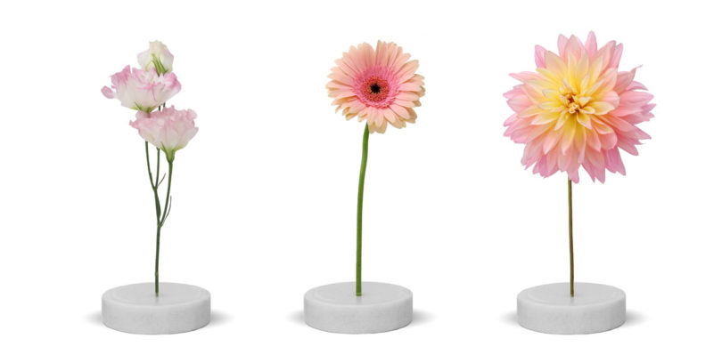 industrial design，vase，Solo vase，Single stem vase，