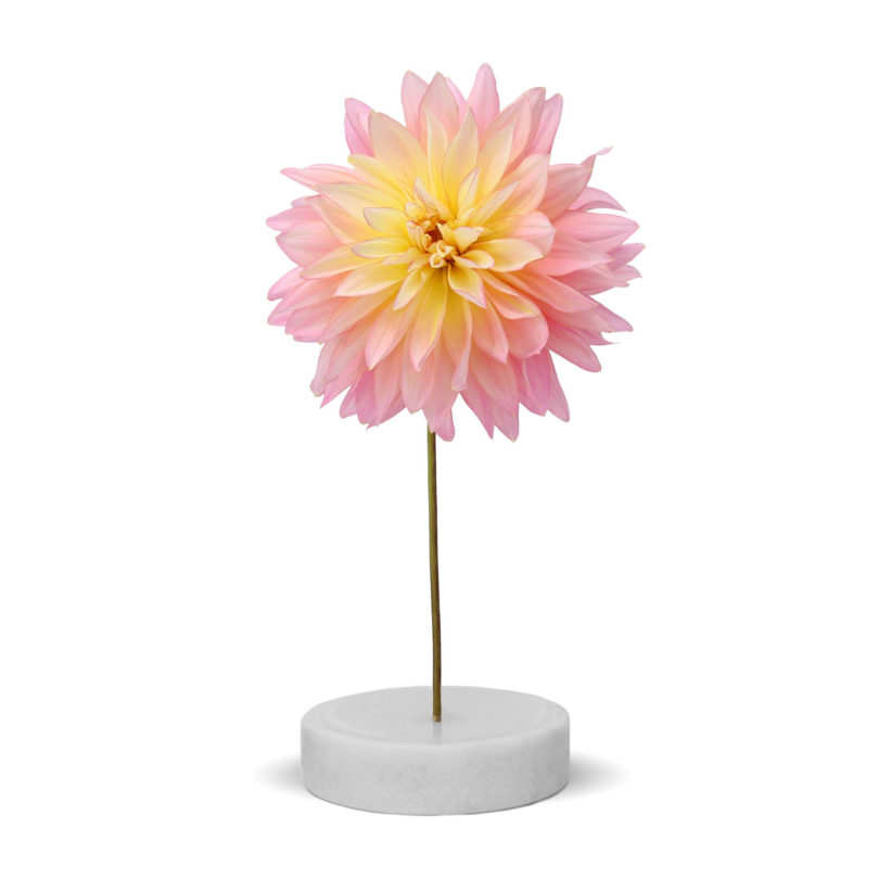 industrial design，vase，Solo vase，Single stem vase，