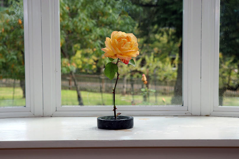 industrial design，vase，Solo vase，Single stem vase，